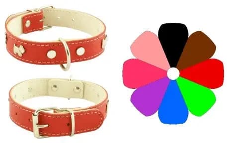 COLLAR MOUNTAIN WESTY NG - Coleira para cão 59-68 - 75 x 4 cm