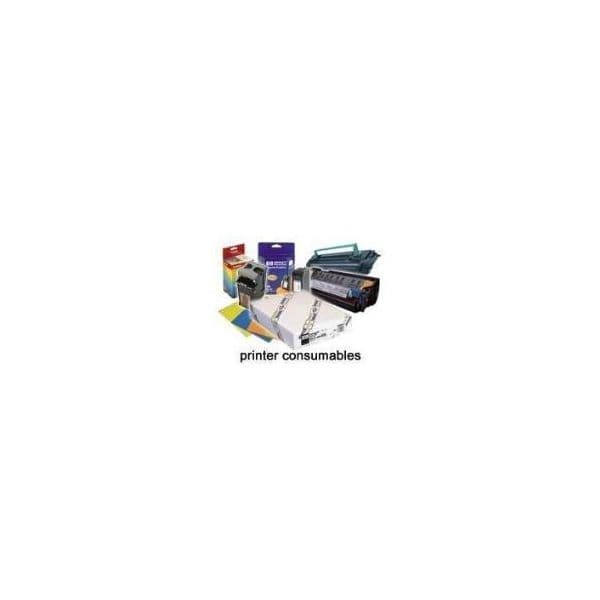 Epson Papel Inkjet Synthetic 44''x40cm - C13S041616