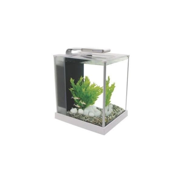 Fluval Spec 10l Aquarium Transparente