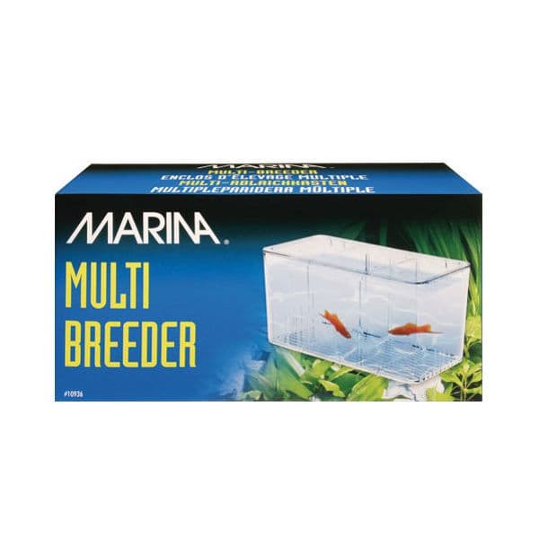 Marina Criador Multi Parideira