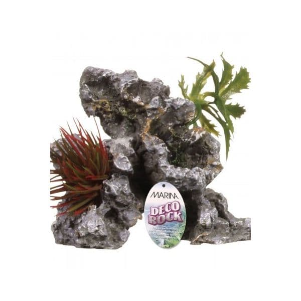 Marina Rocha Plantas Decorativas Pequena