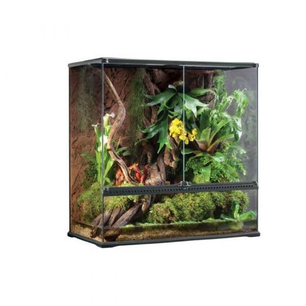 Exo Terra Terrário de Vidro Grande X-Tall 90x45x90cm