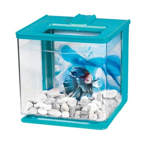 Marina Kit Aquário Betta Ez Care Turquesa 2,5L