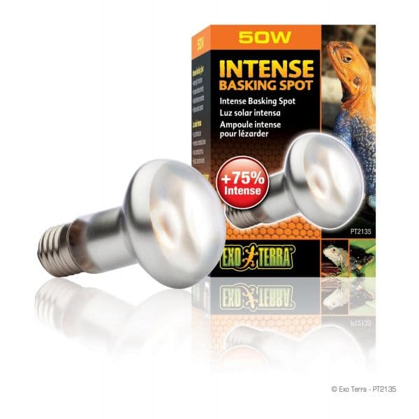 Exo Terra Lâmpada Luz Solar Intense Basking Spot 50W - PT2135