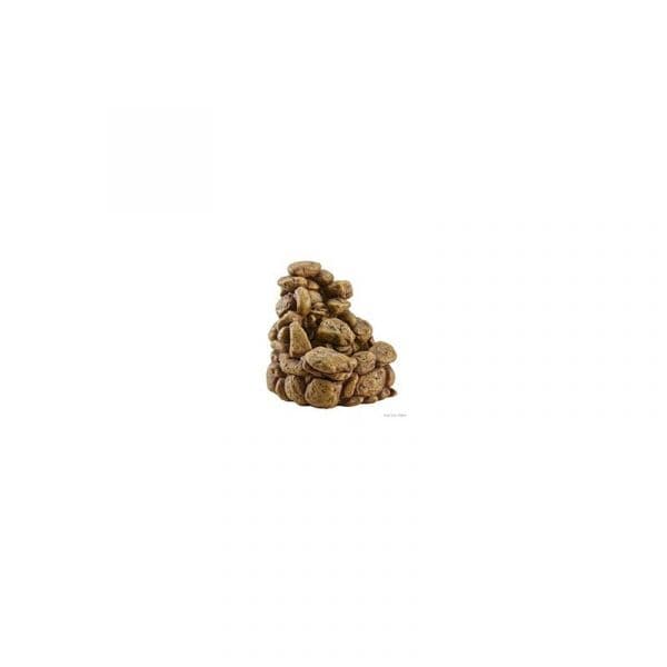 Exo Terra Cascata C/bomba Pequeno (PT2910)