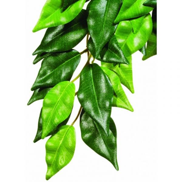 Exo Terra Planta "ficus" Pequeno (PT3030)