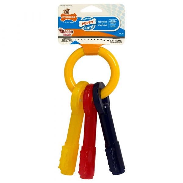 Nylabone Puppy chaveiro mordedor Puppy 19 cm x 8,5 cm x 5 cm