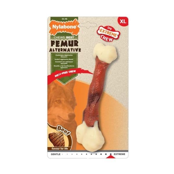 Nylabone Osso Femur Medium Beed Dog