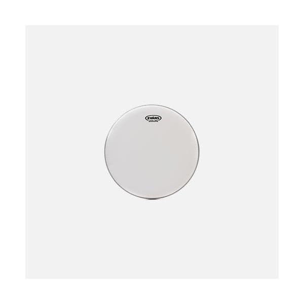Evans 14" G2 Coated Tom