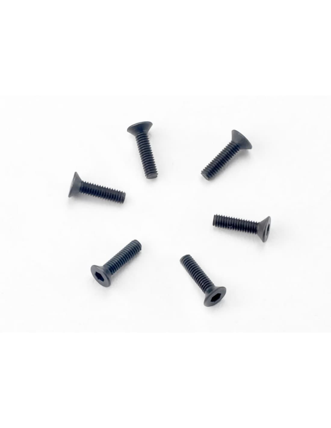 Screws, 2.5x10mm countersunk (hex drive) (6)