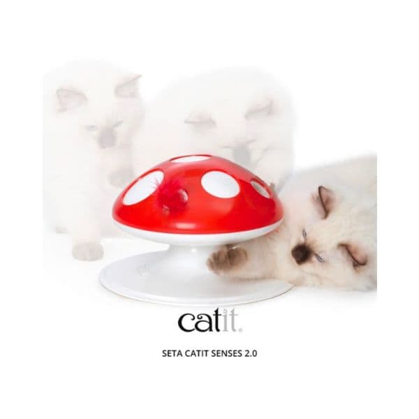 Catit Cogumelo Interativo Senses 2.0 para Gatos