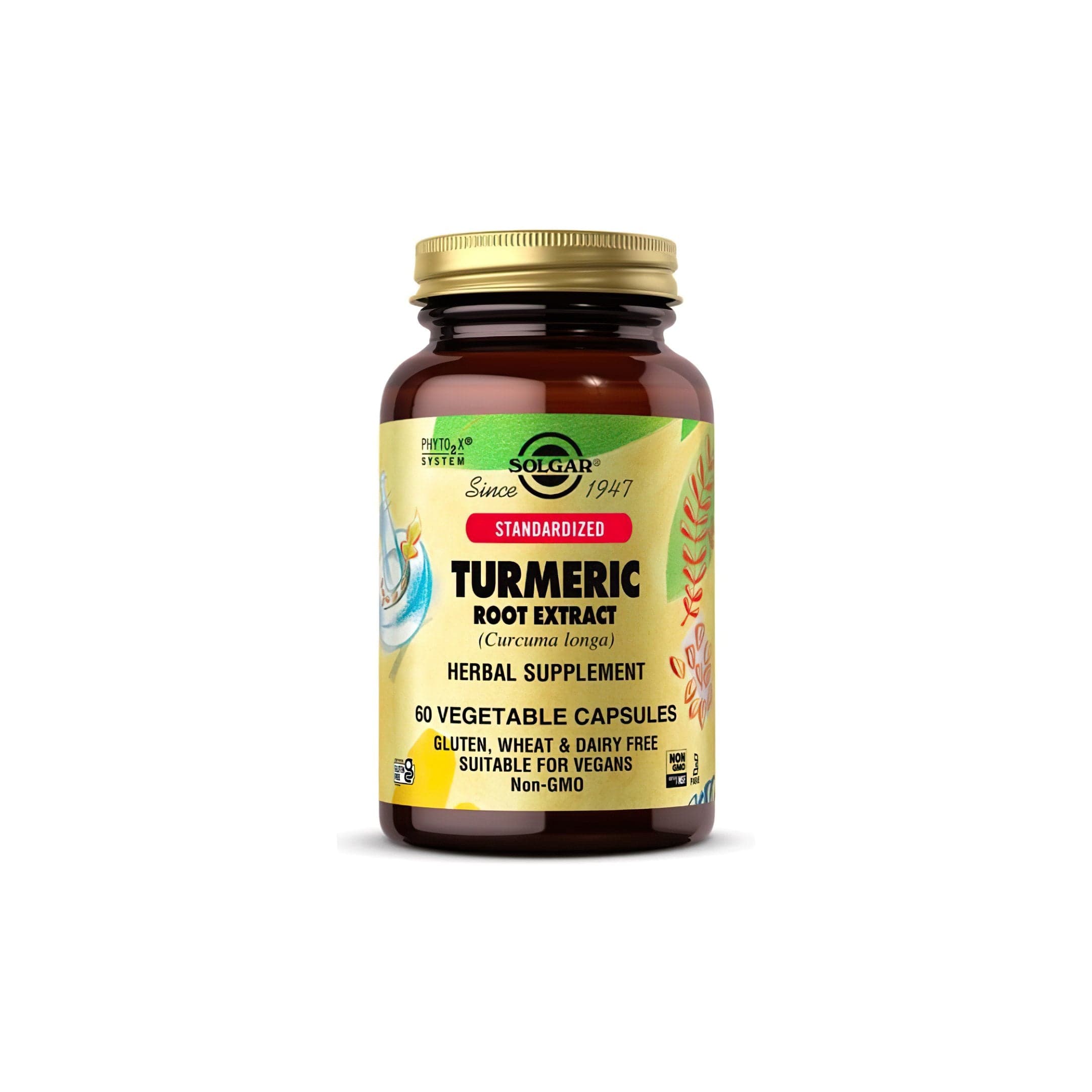 Standardized Turmeric Root Extract 400 mg 60 Vegetable Capsules