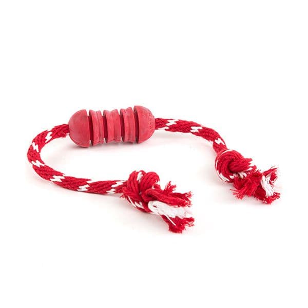 Kong Brinquedo Cão Dental + Corda S