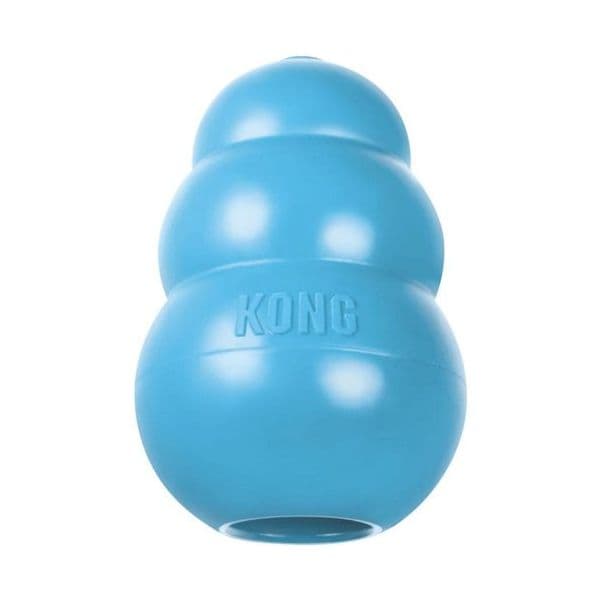 Kong Brinquedo Cão Rubber Puppy L Blue