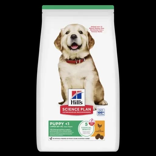 Hill's Science Plan Puppy Large Chicken 14,5Kg