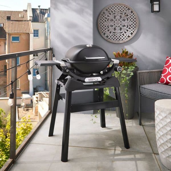 Weber Barbecue Q 1200N com Suporte