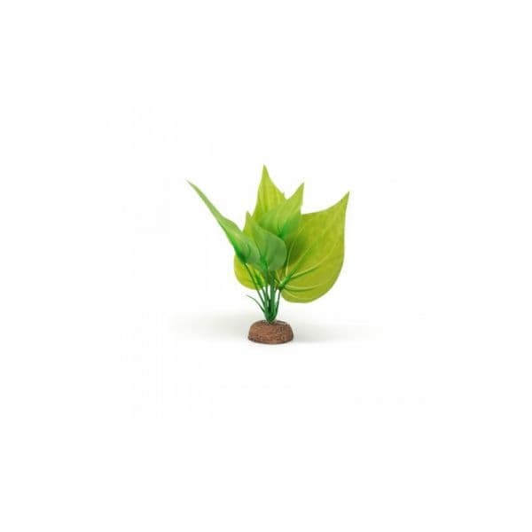 Fluval Planta Aqualife Green Saururus 15 cm