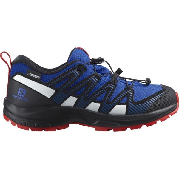 Salomon Xa Pro V8 Cswp Hiking Shoes Azul 38