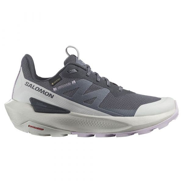 Salomon Elixir Activ Goretex Hiking Shoes Cinzento 41 1/3 Mulher
