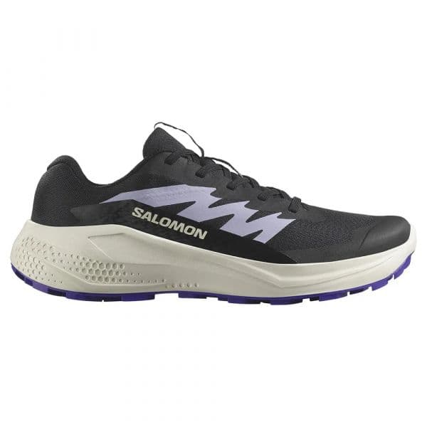 Salomon Sapatilhas de Trail Running Alphaglide Phantom / Vanilla Ice / Liberty 40 2/3