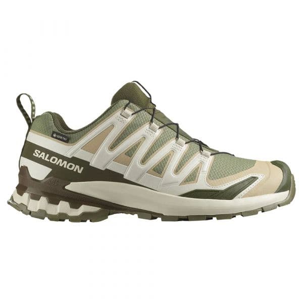 Salomon Sapatilhas de Trail Running Xa Pro 3d V9 Goretex Deep Lichen Green / Safari / Dark Earth 44 2/3