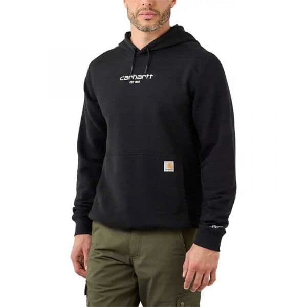 Carhartt Force Logo Graphic Lightweight Hoodie Cinzento M