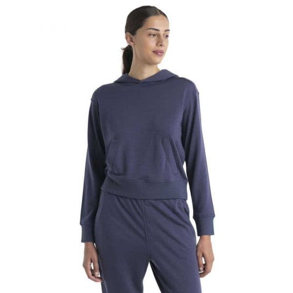 Icebreaker Crush Ii Merino Hoodie Cinzento XS Mulher