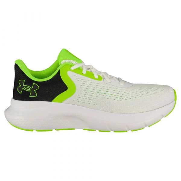 Under Armour Sapatilhas de Running Charged Rogue 5 101 41