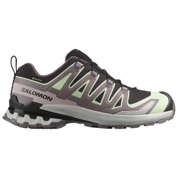 Salomon Sapatilhas de Trail Running Xa Pro 3d V9 Goretex Black / Patina Green / Gray Violet 42 2/3