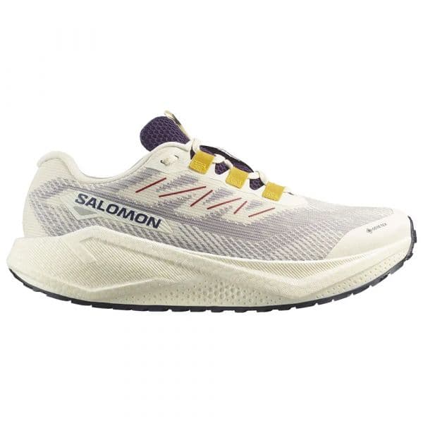 Salomon Sapatilhas de Running Aero Blaze 3 Grvl Goretex Vanilla Ice / Astral Aura / Lemon 44 2/3