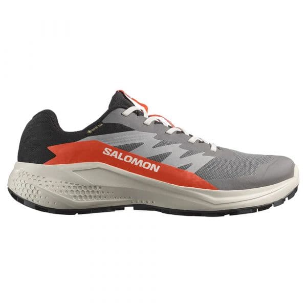 Salomon Sapatilhas de Trail Running Alphaglide Goretex Castlerock / Lunar Rock / Cherry Tomato 40 2/3