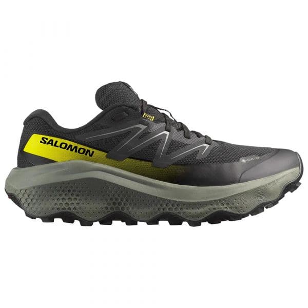 Salomon Sapatilhas de Trail Running Ultra Flow 2 Goretex Black / Sedona Sage / Incaberry 45 1/3