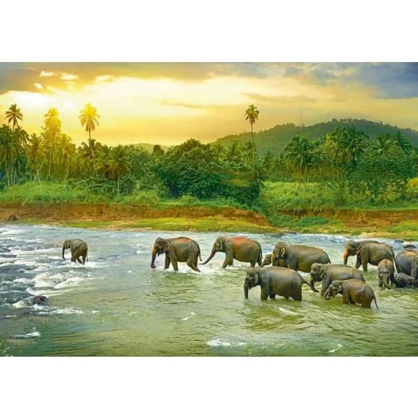 Eurographics Puzzle Floresta Tropical 1000 Peças