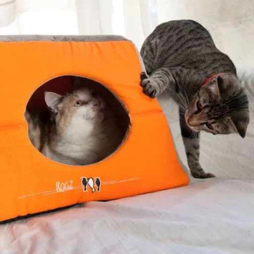 Rogz Cat Igloo 2 em 1