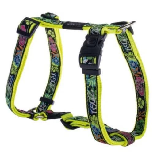Rogz Peitoral H Fancy Dress Dayglo Floral L