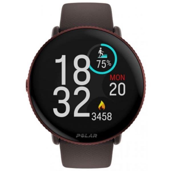 Polar Ignite 3 Titanium 1.28" Grey / Brown