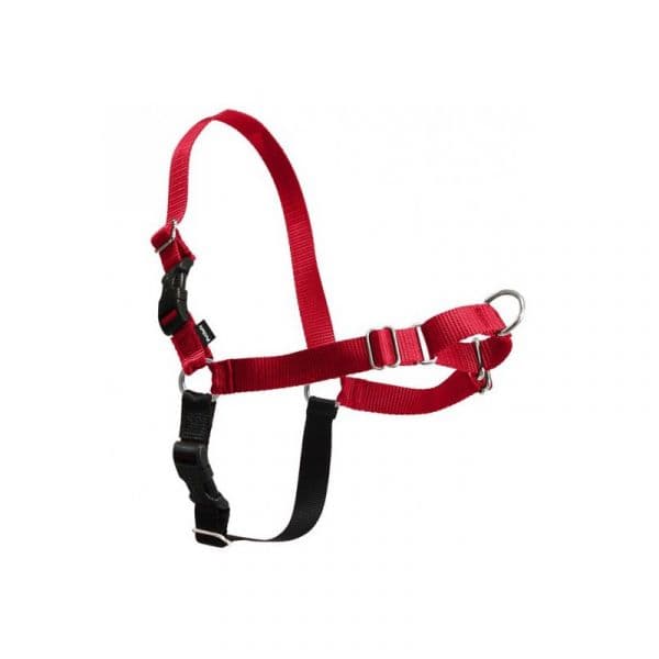 PetSafe Peitoral Easy Walk L Red
