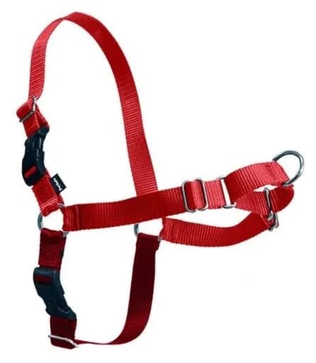 PetSafe Peitoral Easy Walk L Red