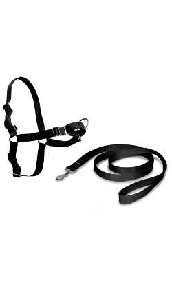 Easy Walk Peitoral Xl Preto