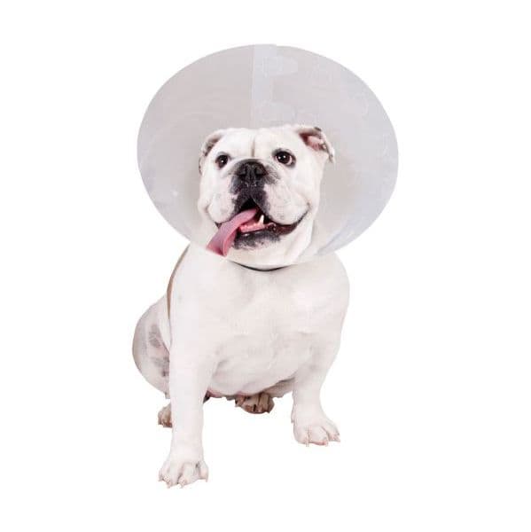 KVP Colar Isabelino Check Collar 22-27x7,5 cm