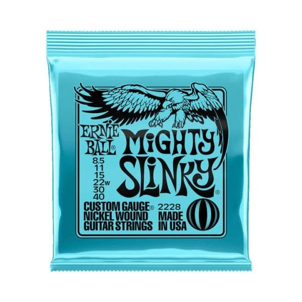 Ernie Ball 2228 Mighty Slinky