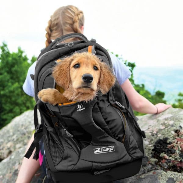 Kurgo Mochila para Cães G-train K9 Preto - 444445