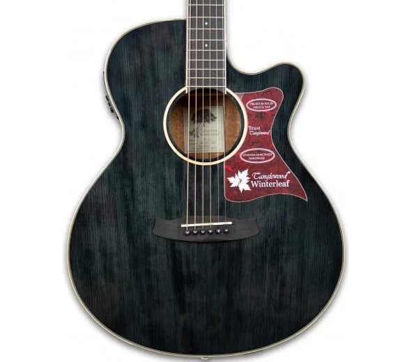 Tanglewood TW4 E BS