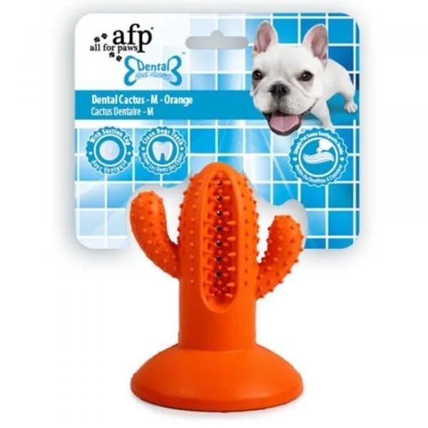 All for Paws Brinquedo Cão Dental Chews Cactus Laranja M