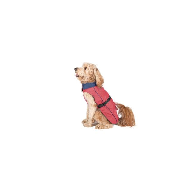 Dog Gone Smart Gabardina Coral 50 cm