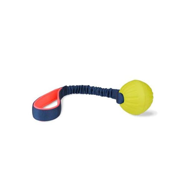 Coati Brinquedo Treino Tuggi Ball com Alça Elástica 45cm