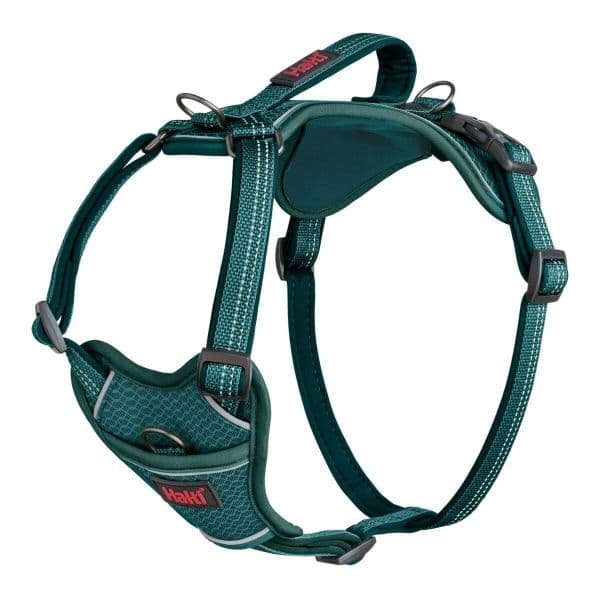 Company of Animals Arnês Halti Anatomy Dog Turquesa S 28-42 cm