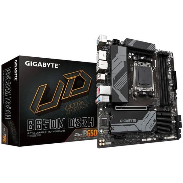 Motherboard Gigabyte B650M DS3H (rev. 1.0/1.1/1.2) AM5