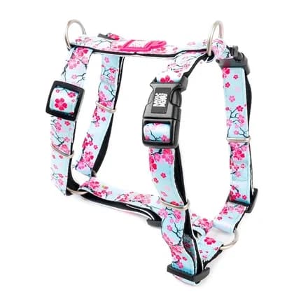 Max & Molly Peitoral Cherry Bloom S