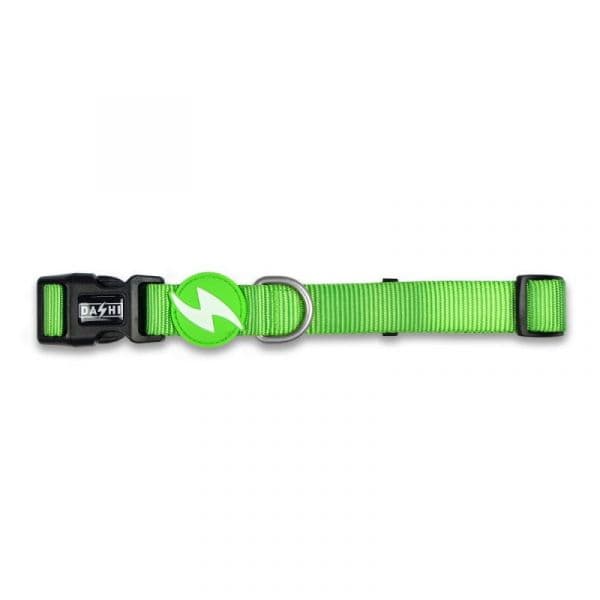 Dashi Coleira Gato Solid Verde